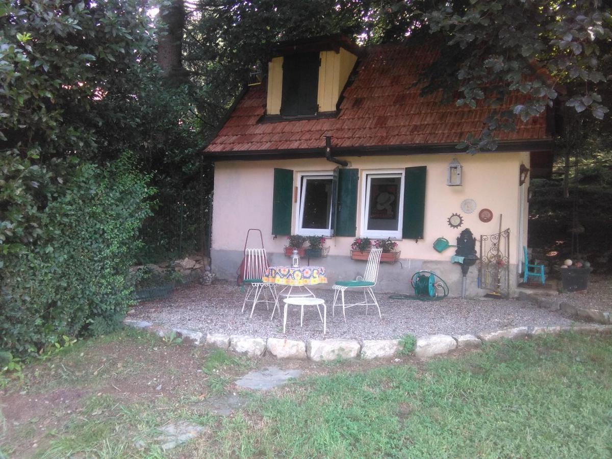 Cottage Sotto Il Faggio Centenario Ameno Dış mekan fotoğraf