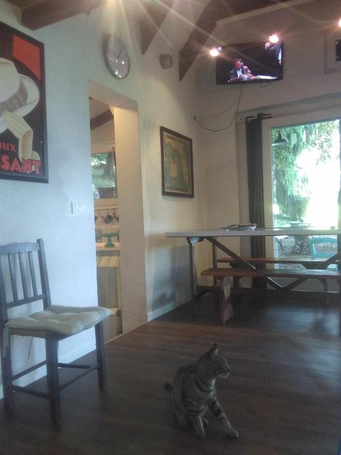 Cottage Sotto Il Faggio Centenario Ameno Dış mekan fotoğraf