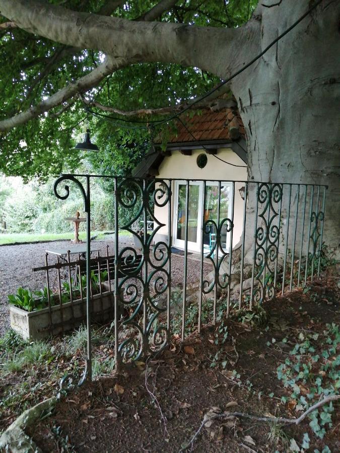Cottage Sotto Il Faggio Centenario Ameno Dış mekan fotoğraf