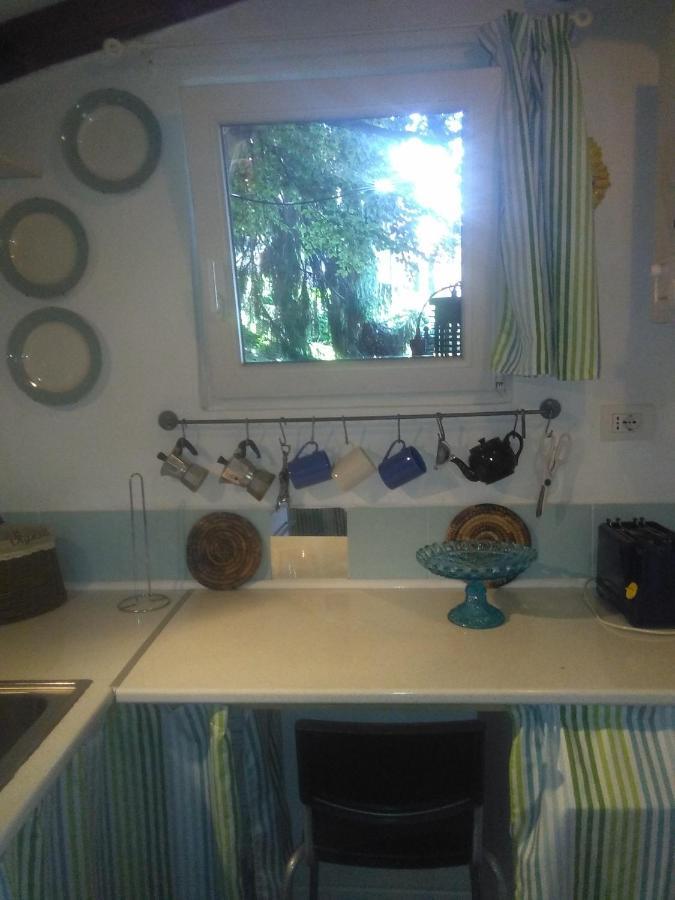 Cottage Sotto Il Faggio Centenario Ameno Dış mekan fotoğraf