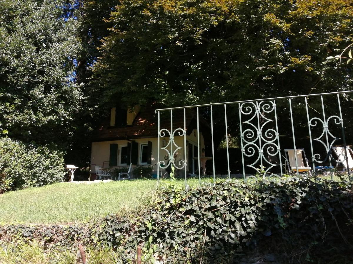 Cottage Sotto Il Faggio Centenario Ameno Dış mekan fotoğraf